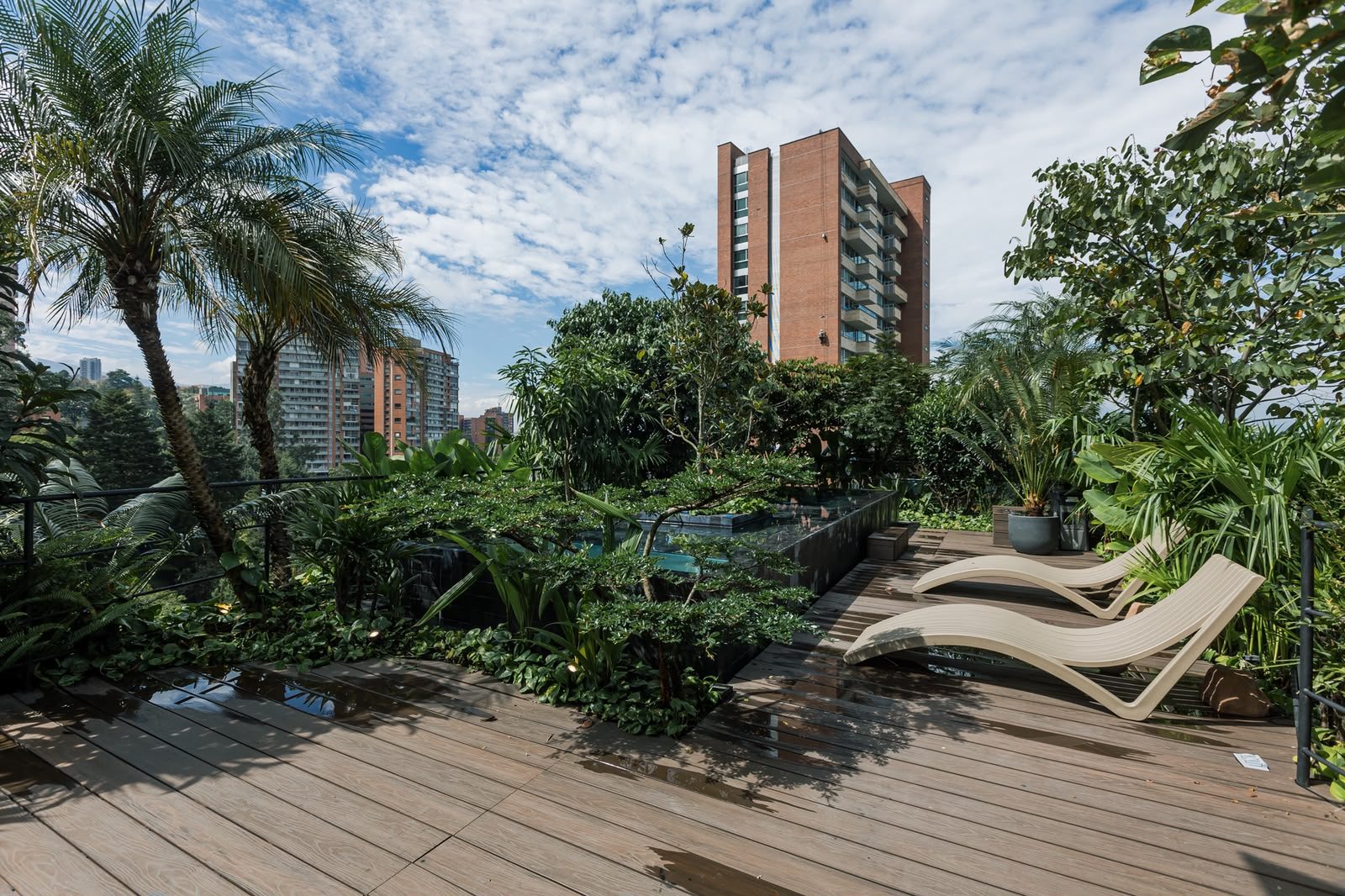 Terraza con palmas y deck de madera